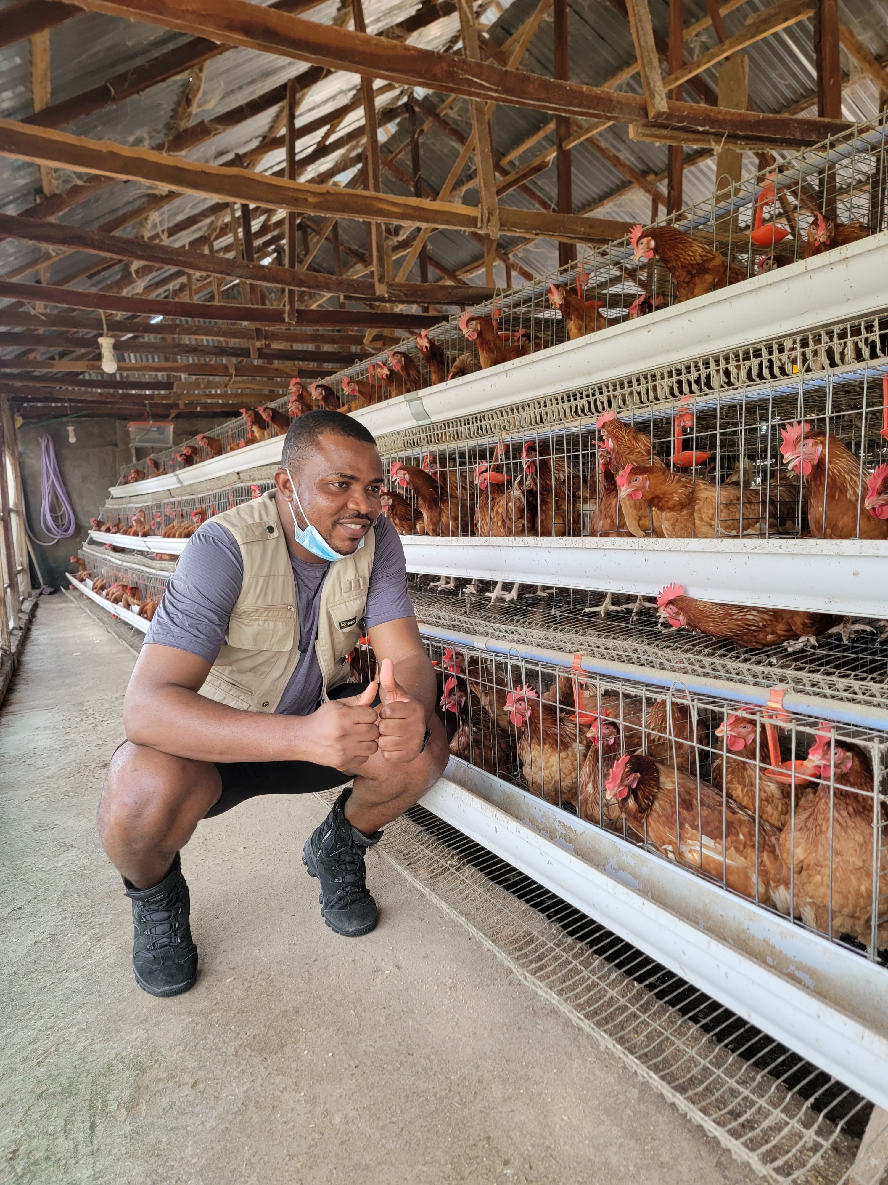 /poultry1.jpg